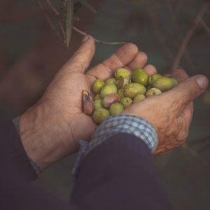 Alternative view of Roscetto Olio - lattina da 750 ml